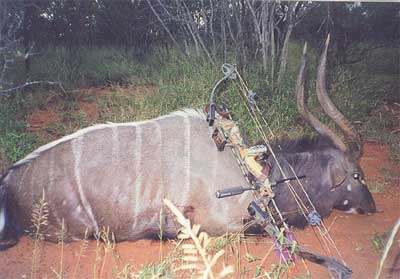 Nyala de cot